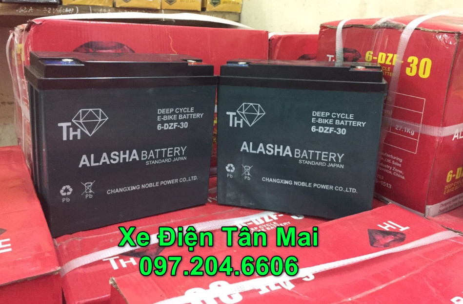 Ắc quy Alasha