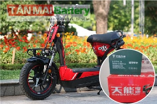 Ắc quy xe điện M133S