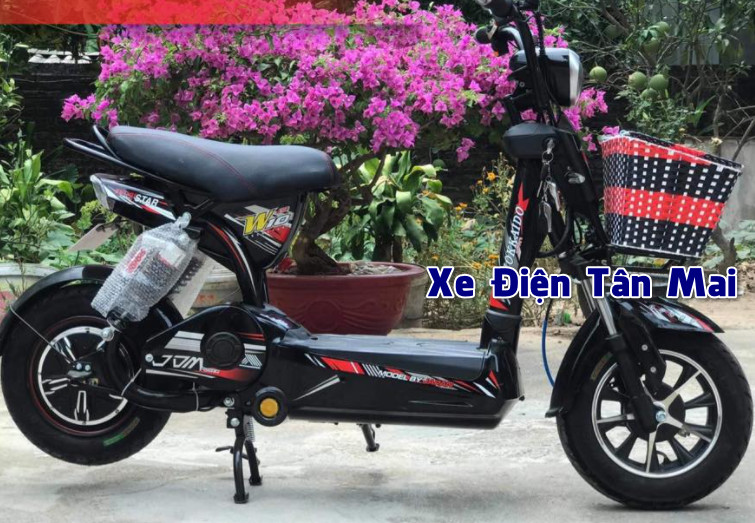 Cách lựa chọn xe đạp điện cũ mới